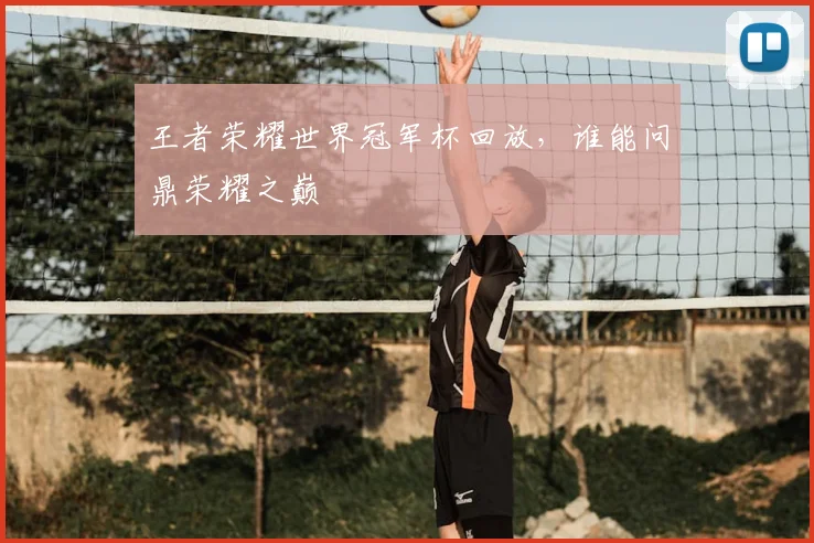 王者荣耀世界冠军杯回放，谁能问鼎荣耀之巅