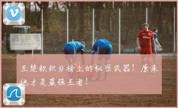 王楚钦积分榜上的秘密武器!原来他才是最强王者!
