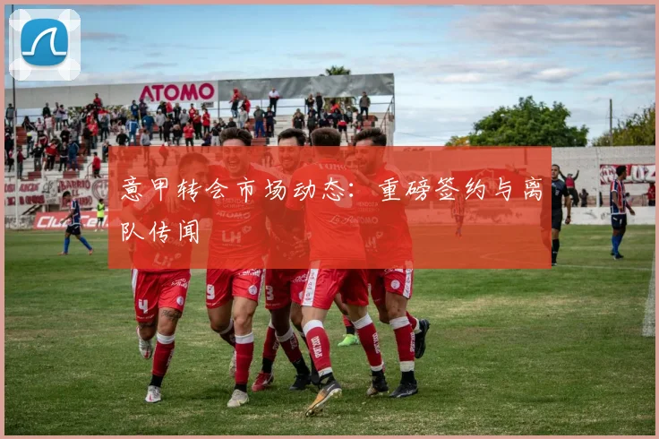 意甲转会市场动态：重磅签约与离队传闻
